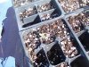 100_0159.jpg