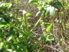100_0170.jpg