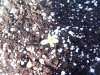 100_0154.jpg