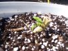 100_0171.jpg