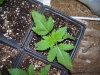 100_0174.jpg