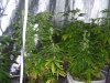 100_0184.jpg