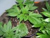 100_0205.jpg