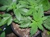 100_0206.jpg