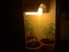 07042013822.jpg