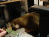 DSC00356.jpg