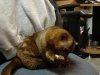 DSC00358.jpg