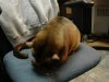 DSC00359.jpg