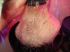 DSC03115.jpg