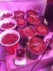 20190518_163550.jpg