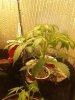 20190517_092443.jpg