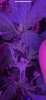 3575F3BC-8B1F-4757-BD1D-4B4FF0320497.jpeg