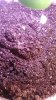 IMG_20190521_111408.jpg