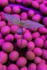 IMG_4549.jpeg