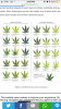 940CB2A6-DA8E-4F74-93CB-E8C41BFFA29A.png