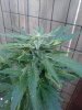 20190602_084659.jpg