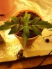 20190604_114637.jpg 20190604_114637.jpg