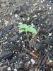20190530_165344.jpg