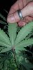20190605_153637.jpg