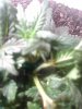IMG_20190606_171245.jpg