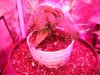 DSCF5164.JPG