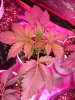 DSCF5171.JPG