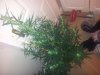 20130408_200656.jpg