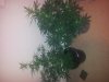 20130408_200641.jpg