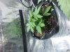 20130408_185849.jpg