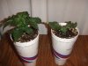 DSCF5179.JPG