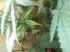 20130409_180956.jpg