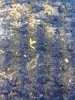 ImageUploadedByTapatalk HD1365537070.352364.jpg