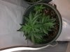 DAY 27 S#1 Top.jpg
