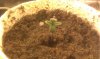 DNLB Day 02 0409a.jpg