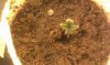 DNLB Day 02 0409b.jpg