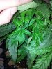 20130410_065012.jpg