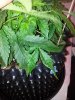 20130410_065020.jpg