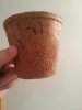 coir3.jpg