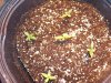 100_0305.jpg