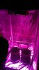 09042013039.jpg