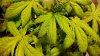 20190609_083011.jpg