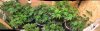 710E5CB7-0A58-46DB-9D9B-72C02A25F06C.jpeg