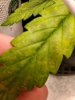20190615_110134.jpg