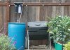 DSC_9917.jpg