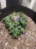 20190604_183635.jpg