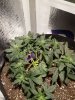 20190616_115601.jpg