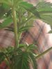 20190618_015652.jpg