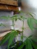 IMG_20190626_065649.jpg