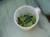 100_0338.jpg