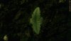 DNLB Day 04 0411a.jpg